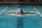 Swimming vs Bentley  Wheaton College Swimming & Diving vs Bentley College. - Photo by Keith Nordstrom : Wheaton, Swimming & Diving